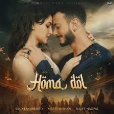 Homa Dol Homa Dol